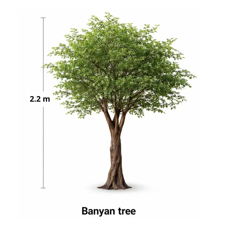 2.2-Meter Artificial Banyan Tree For Indoor Decor 2
