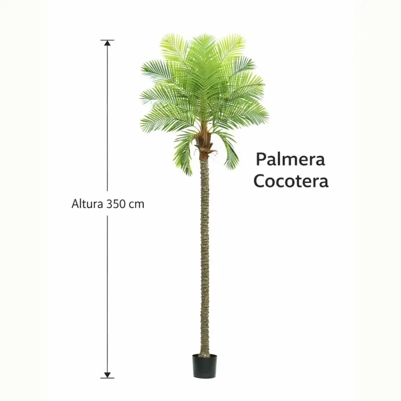 350 Cm Artificial Coconut Palm – Oversized Realistic Indoor Cocotero For Grand Spaces And Commercial Interiors 2