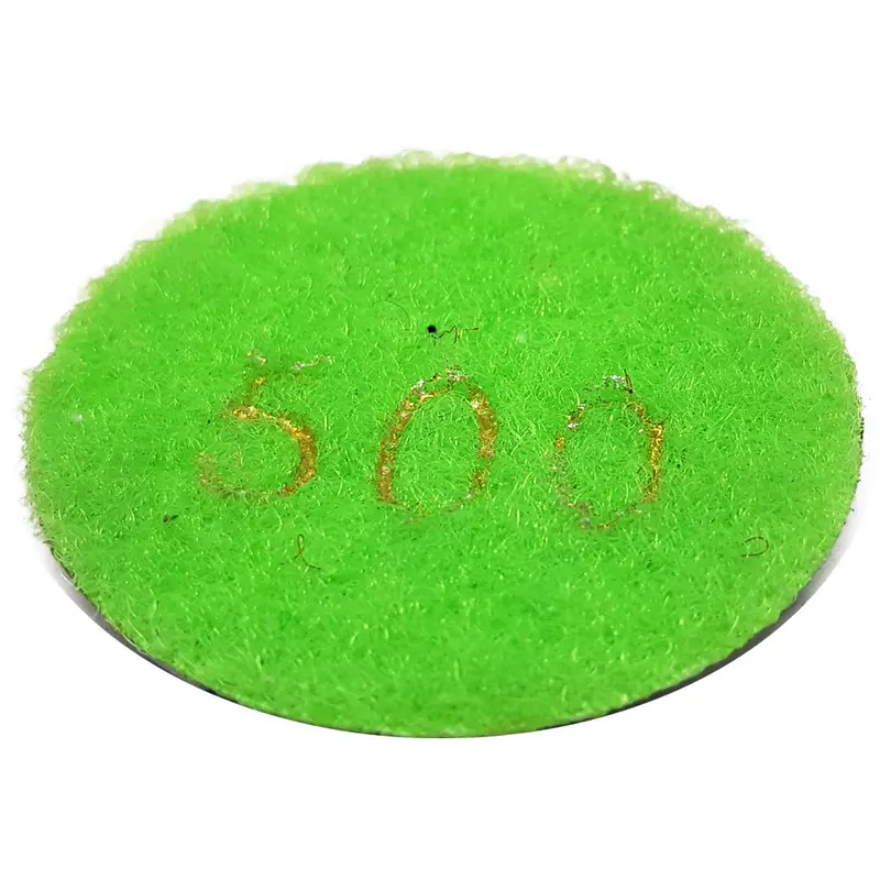 500-Grit Resin Polishing Pad – Carbone Airmax Polish® Kit 1