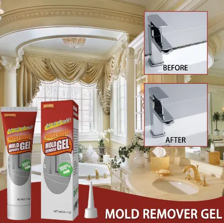 90 G Mold Remover Gel 1