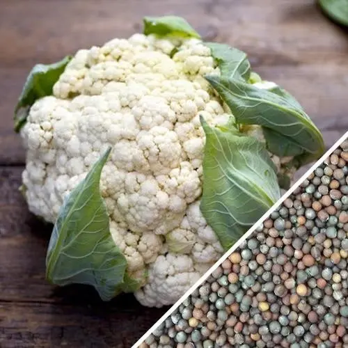 All-Season Cauliflower Seeds – Heirloom, Non-Hybrid, Non-Gmo (Approx. 70 Seeds) 1