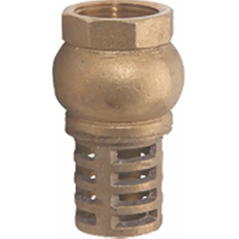 Bronze-Fitted Foot Valve – Corrosion-Resistant Strainer & Spring Assembly 1