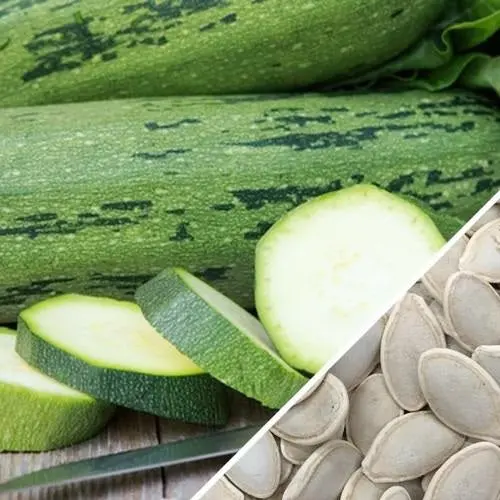 Cocozelle Squash Seeds – Heirloom, Non-Hybrid, Non-Gmo (10 Seeds) 1