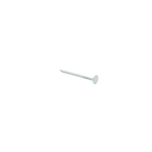 Electro-Galvanized Common Nails – 2 Inch 1