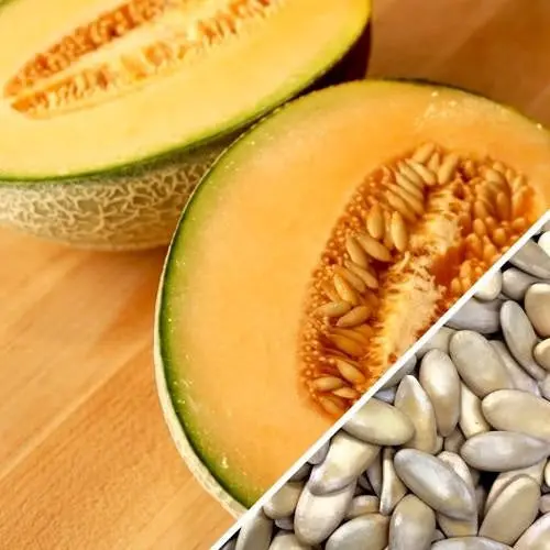 Honey Rock Melon Seeds – Heirloom, Non-Hybrid, Non-Gmo (Approx. 10 Seeds) 1