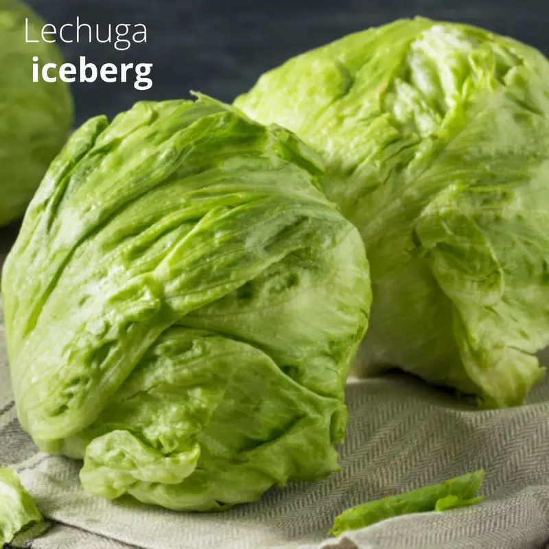 Lettuce Seeds – 3G Organic Gardening Pack For Indoor Or Outdoor Cultivation 1