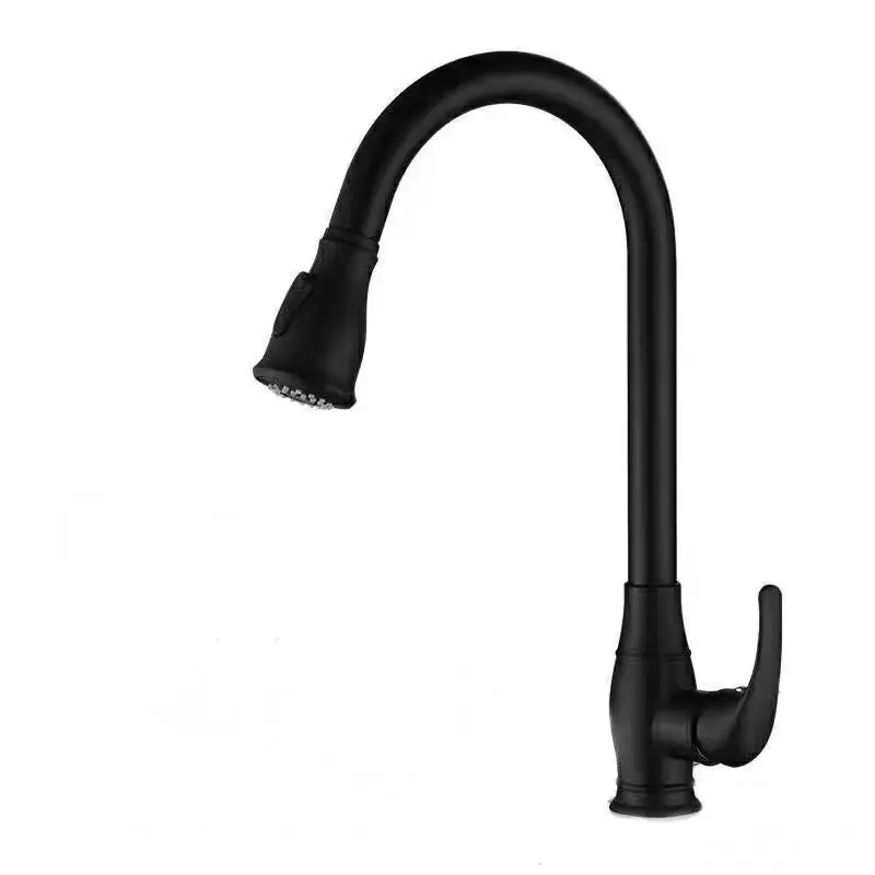 Nessati Single-Handle Kitchen Faucet In Matte Black Bronze Finish 1