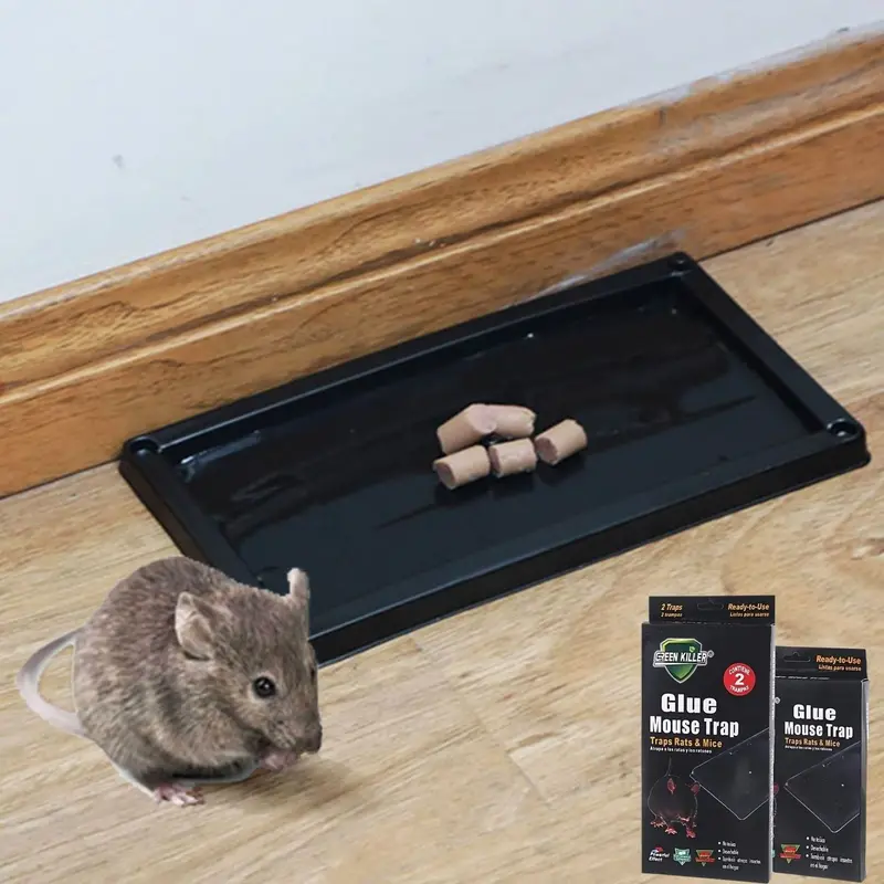Pre-Activated Glue-Based Mouse Trap – 25 X 13 Cm Black Plastic Box With 0.3% Fipronil, Kitchen-Safe 1