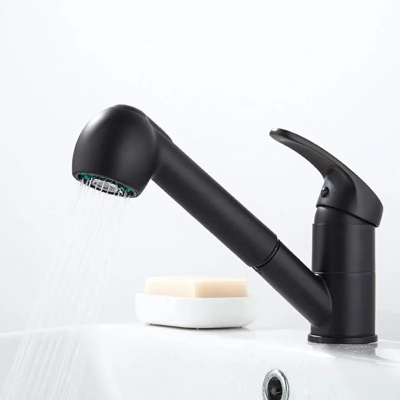 Pull-Out Kitchen Sink Faucet – Black Dual-Function Tap With Extendable Hose 1