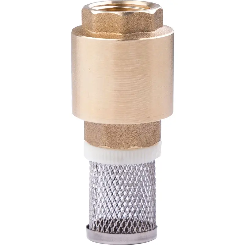 Stainless Steel Foot Valve – Interchangeable Spring & Strainer Assembly 1