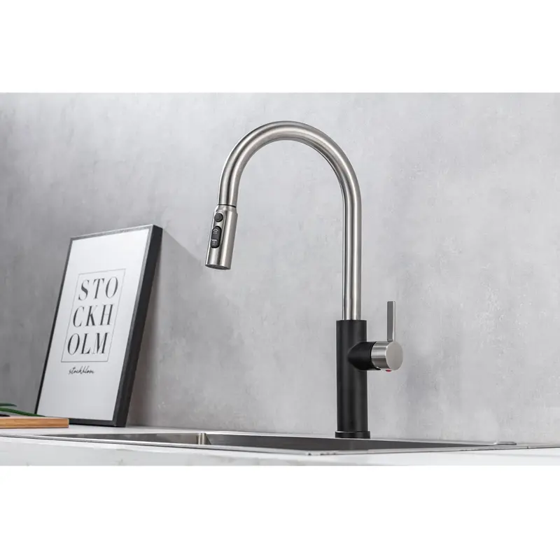 Stainless Steel Pull-Down Kitchen Faucet – Flexible Hose, Girona Series Design 1