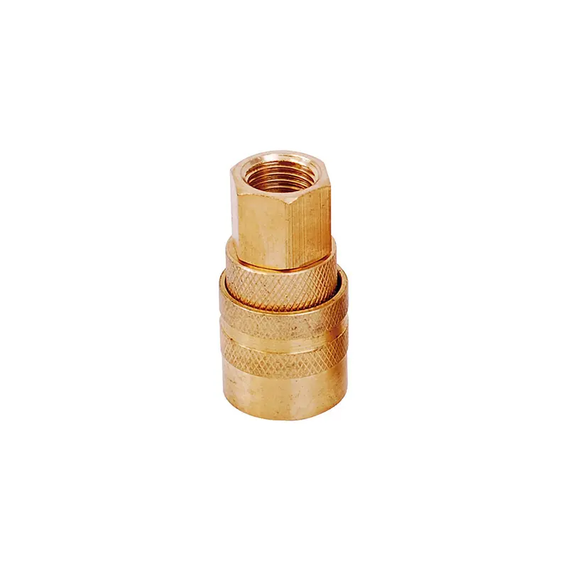 Surtek 1/4" Npt Female Quick-Connect Coupling 1